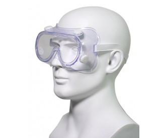 Safety Goggles (1)