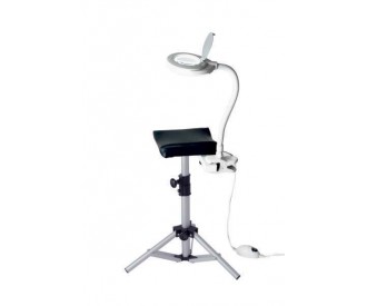 Spectra Light (with plug)
